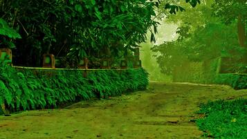 A narrow, unpaved path surrounded by dense foliage and a wooden fence.