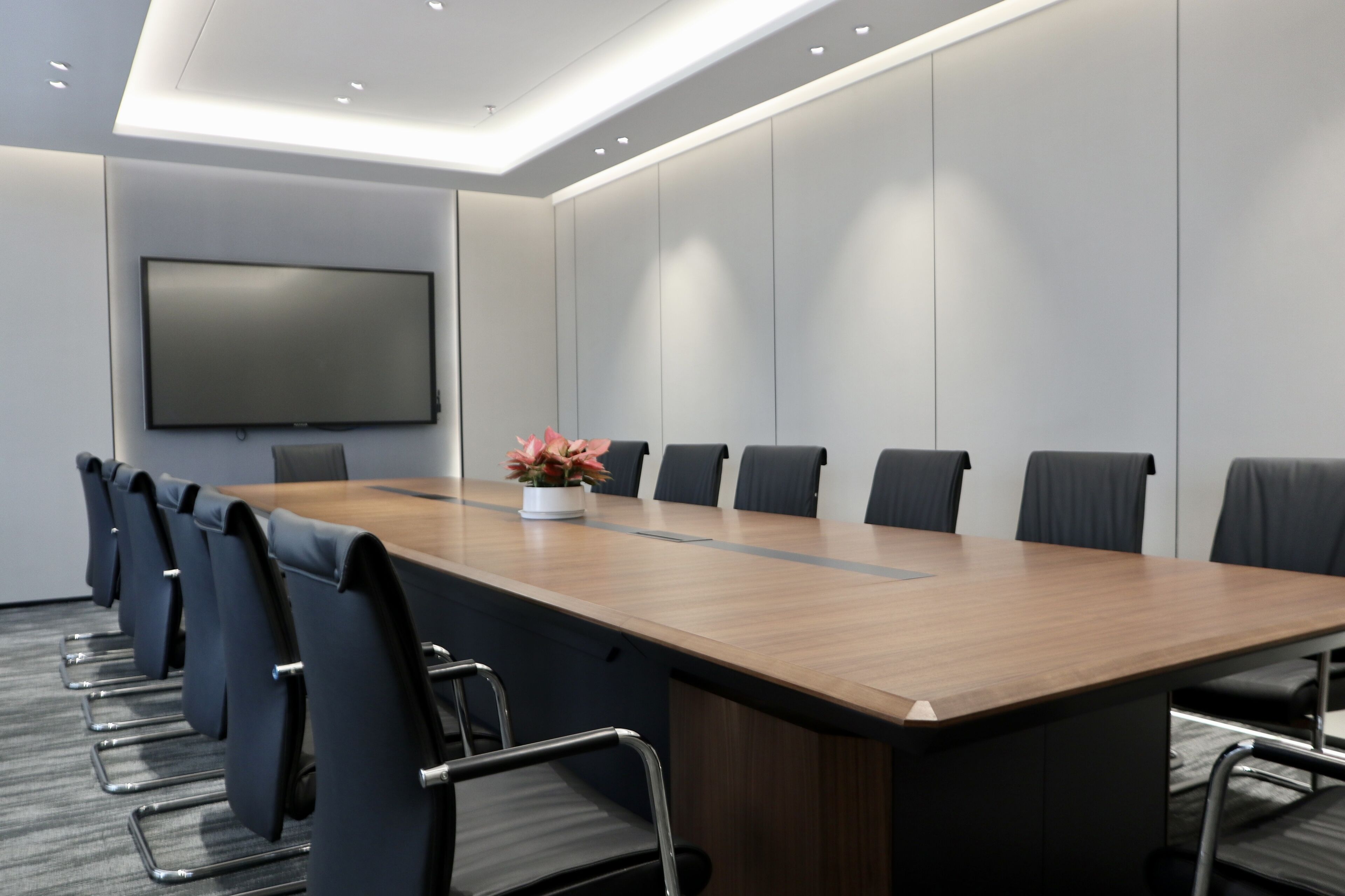 A conference room with a long table, chairs, a flat-screen TV, and a potted plant.