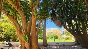 Ein Garten mit großen Bäumen, einem Weg und einem Gebäude im Hintergrund.