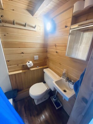 A compact wooden bathroom with a toilet, sink, and mirror. - Lakeside Tiny Cozy Retreat (Ulster)