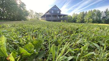 المنطقة المحيطة بالمنشأة