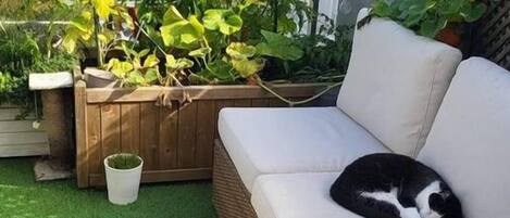 Parco della struttura