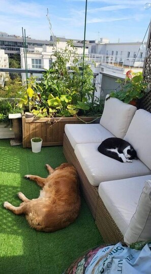 Enceinte de l’hébergement