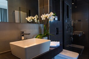 Sèche-cheveux, serviettes fournies, papier toilette