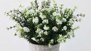 Une plante en pot, ornée de fleurs blanches, posée sur une table en marbre.