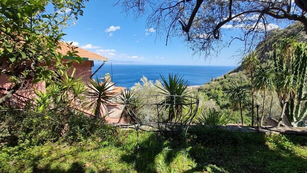 A coastal landscape with a view of the sea, a cactus, and a building with a red roof. - Private Villa Deluxe (Taormina)