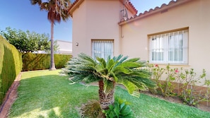 A residential property with a well-maintained lawn, a palm tree, and a building with two windows.