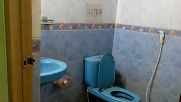 Towels, soap, shampoo, toilet paper