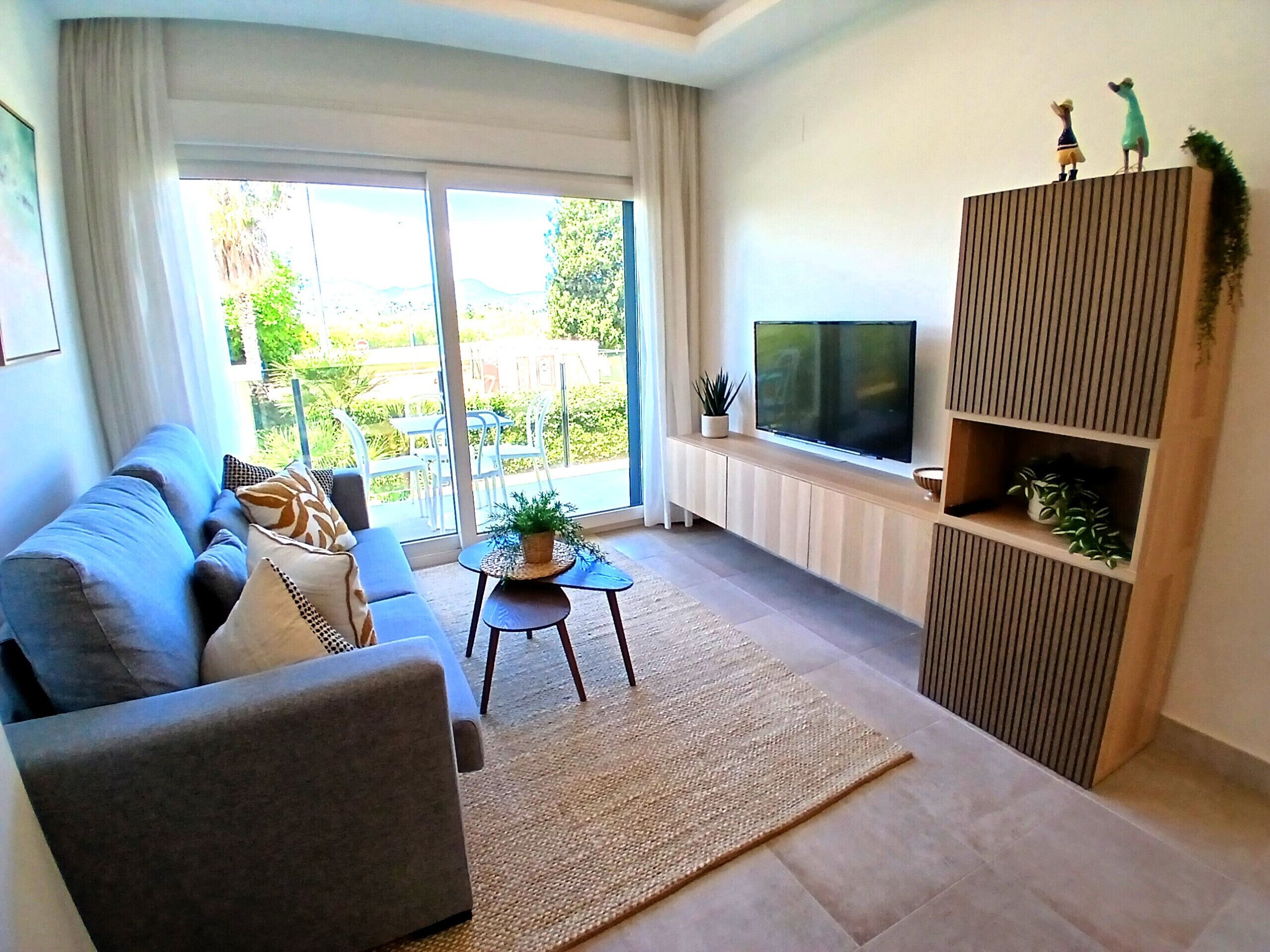 TV
