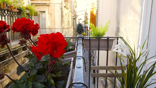 A narrow urban street with balconies, potted plants, and a metal railing.