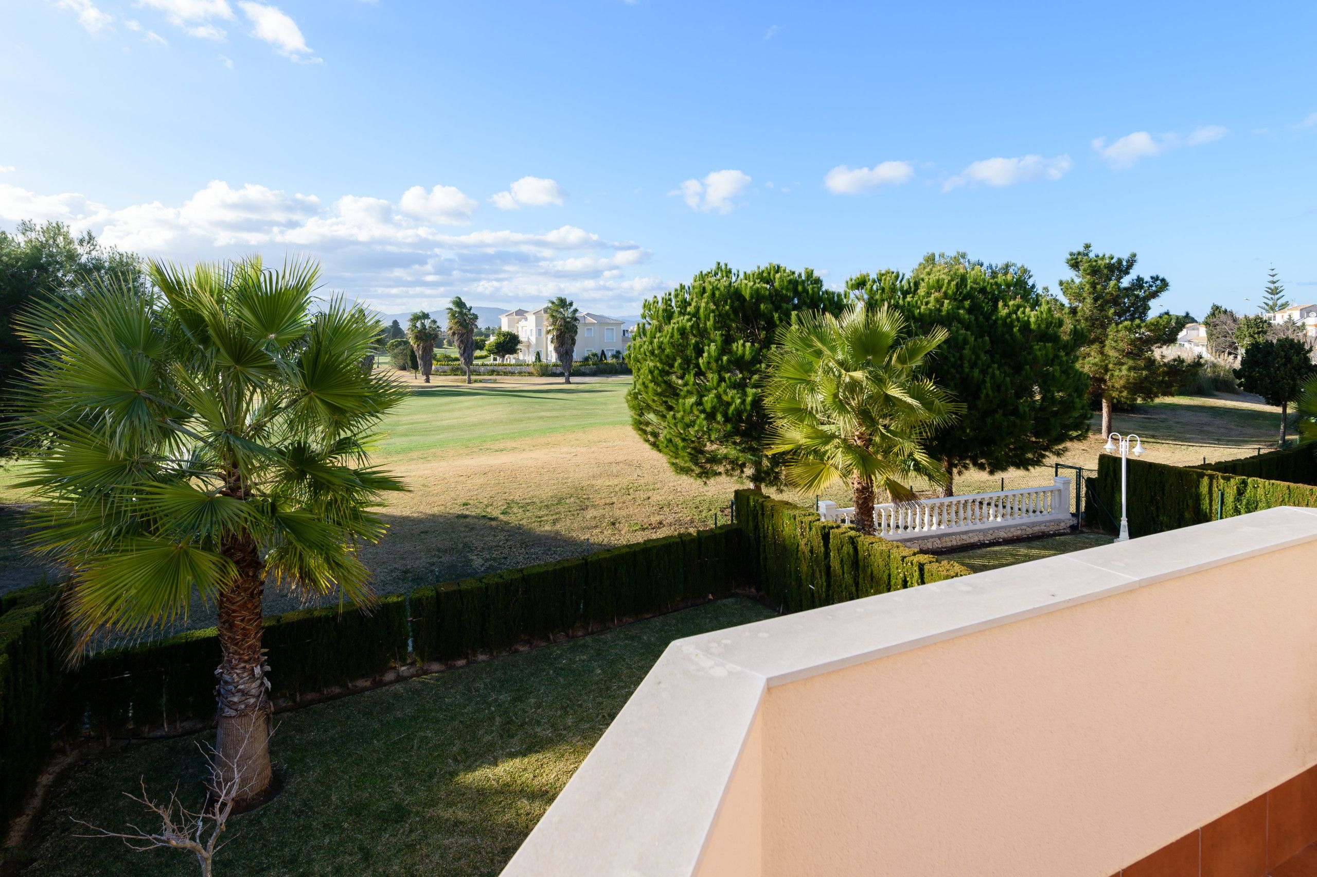 Un barrio residencial con un césped cuidado, diversas especies de árboles y una vista distante de casas.