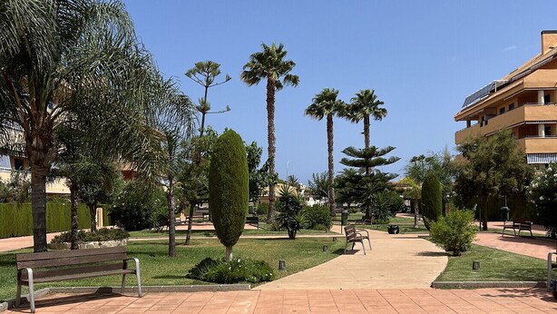 A paved walkway with benches, palm trees, and a building with solar panels. - Penthouse in Denia (Denia)
