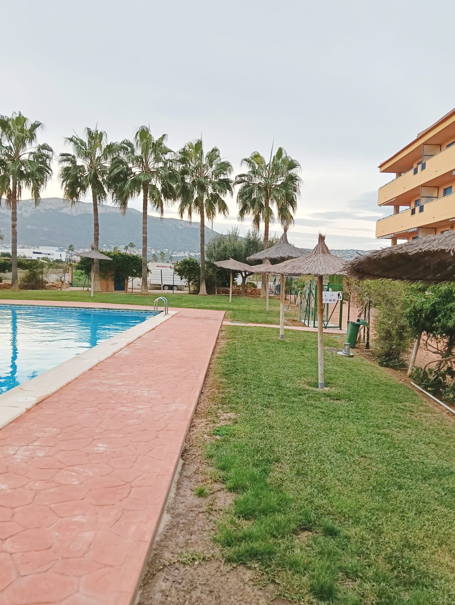 Une piscine bordée d’une allée carrelée, entourée de palmiers et d’un bâtiment doté de balcons.