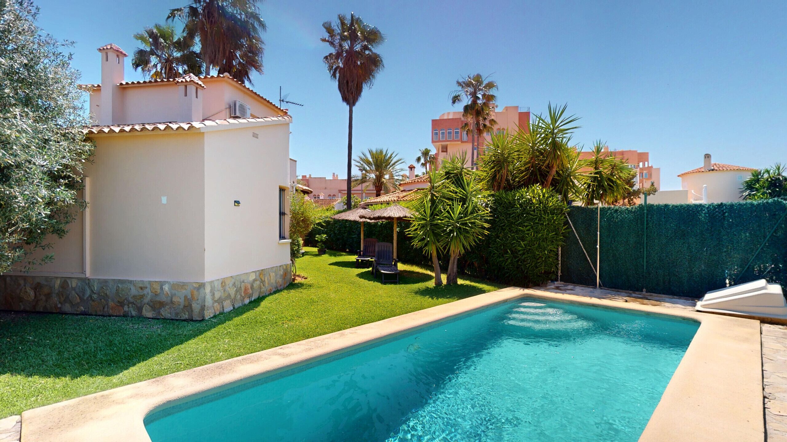 A swimming pool with a stone border, surrounded by a well-maintained lawn and palm trees.