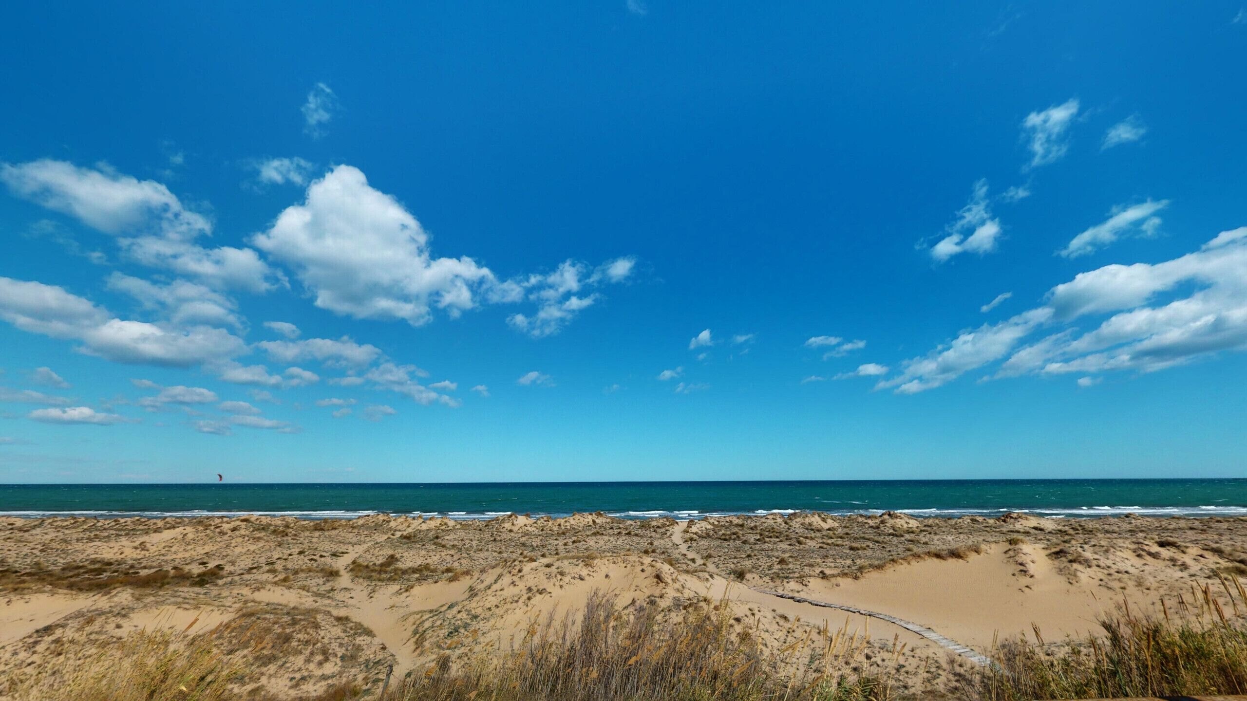 Een strand met duinen en een helderblauwe lucht.
