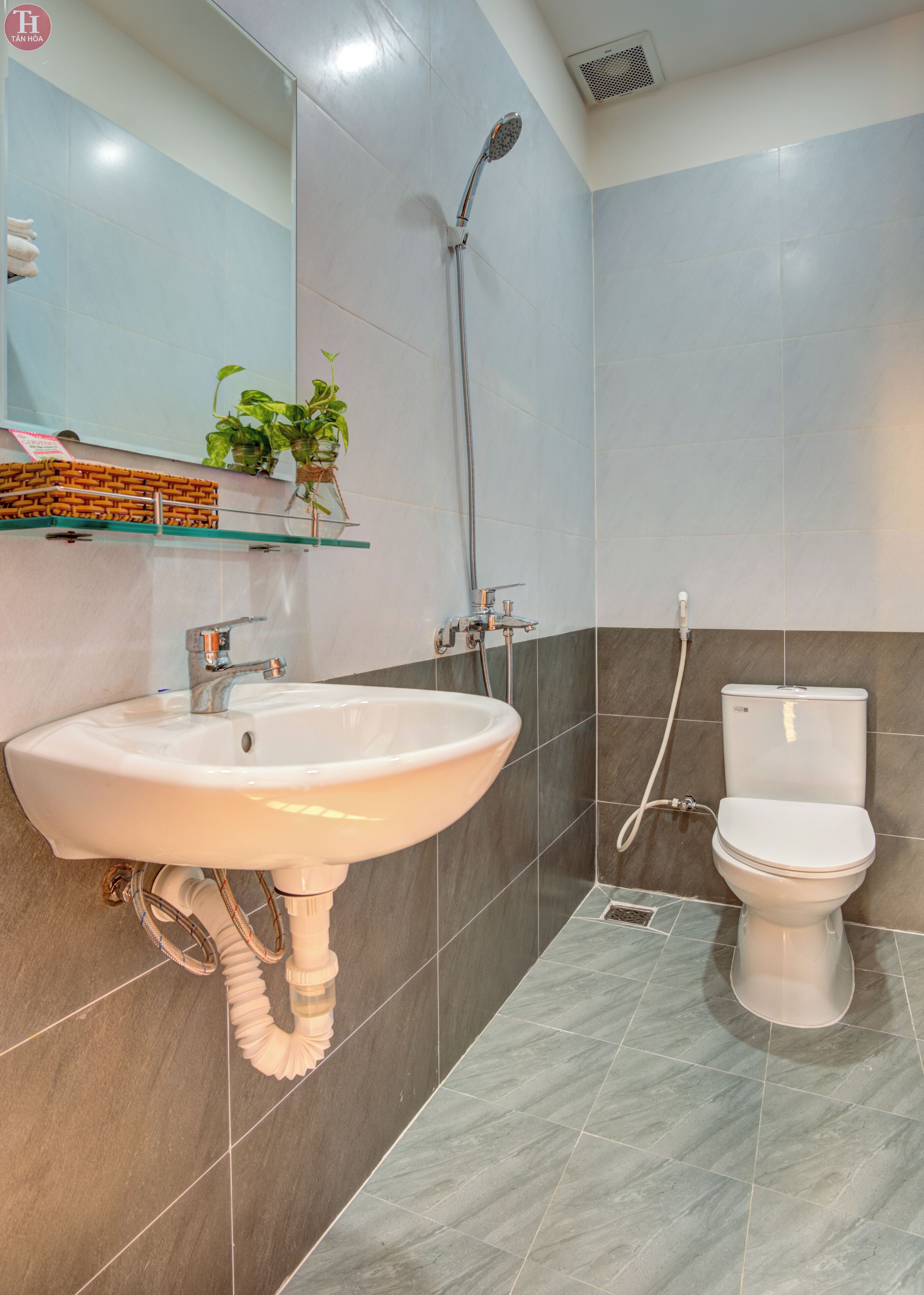 A bathroom with a white sink, a toilet, and a shower. There is a plant on the wall and a shelf with toiletries.