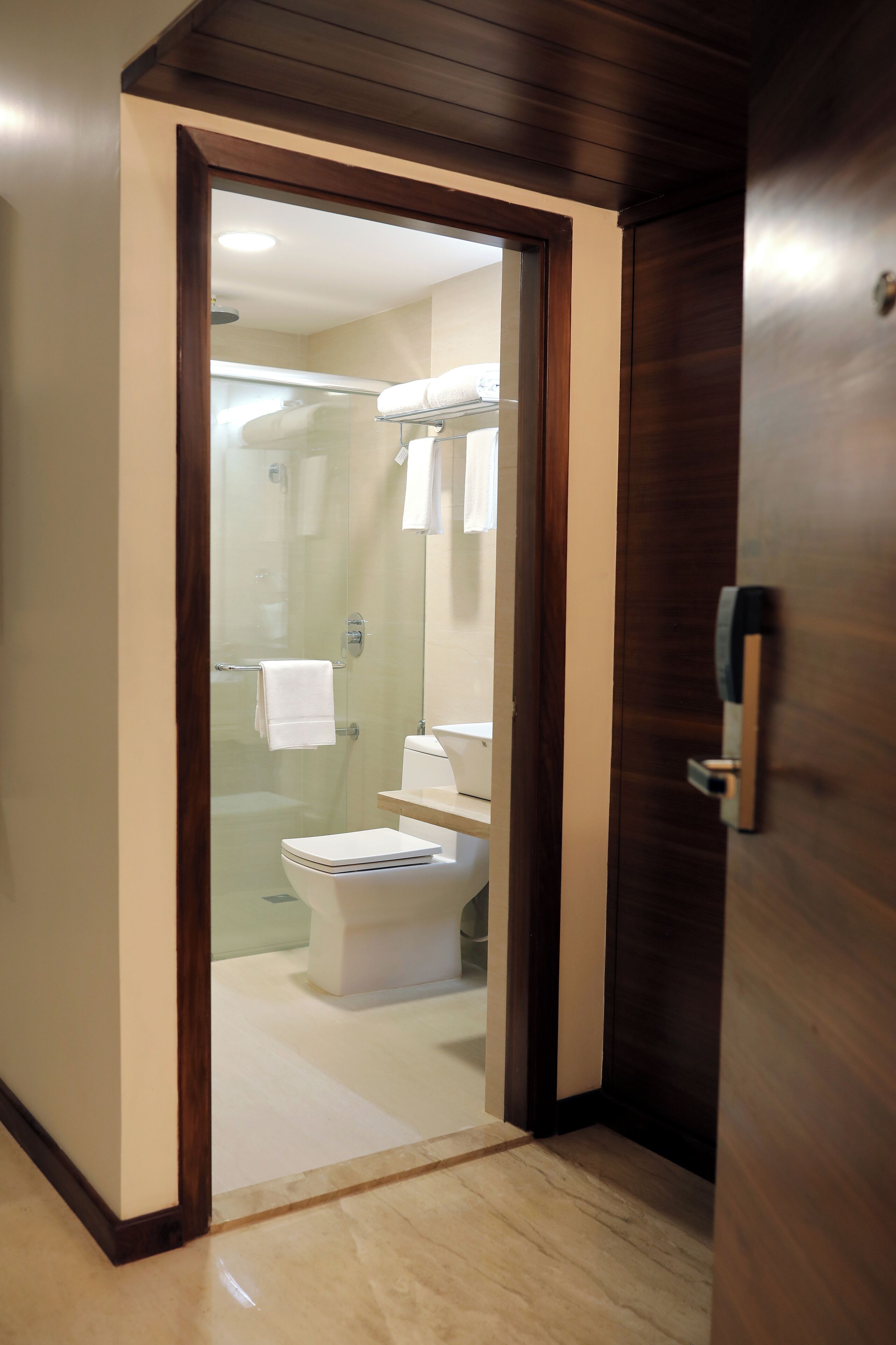 A modern bathroom with a glass-enclosed shower, a white toilet, and a wooden door.