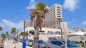 A beachfront hotel with multiple floors, palm trees, and a clear blue sky. - Beautifull apartments by the sea (Haifa)
