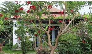 Property grounds - Villa Cambodgienne Face à la Piscine (Siem Reap)