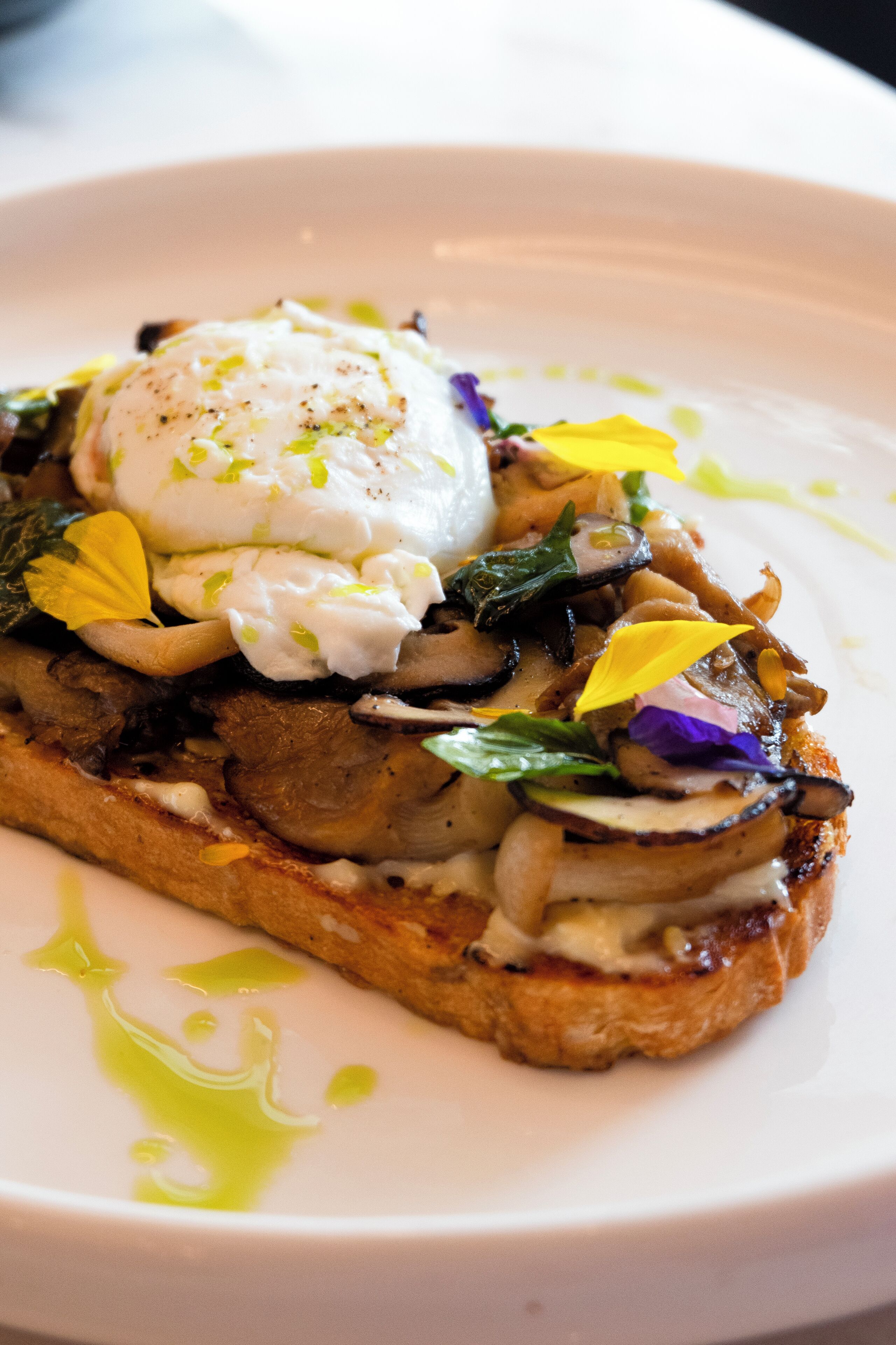 Photo - Amber Hotel - Cebu