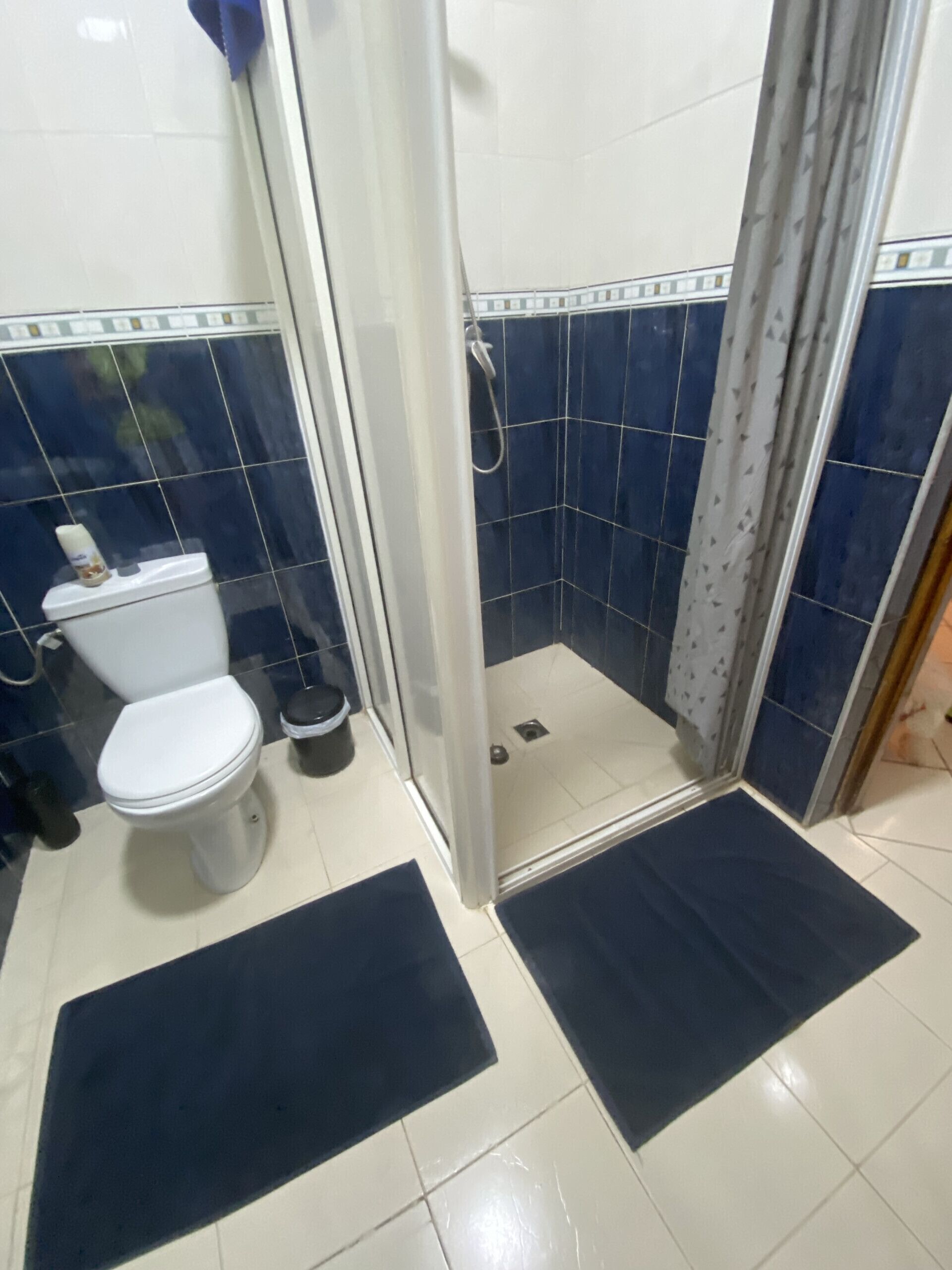 Shower, towels