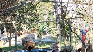 A bird enclosure with a water feature, rocks, and a wooden platform. -  Agriturismo Heaven (Ricadi)