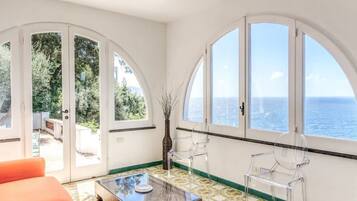 ๋น๋ผ | ๋ค๋ฆฌ๋ฏธ/๋ค๋ฆฌ๋ฏธํ, ์ธํฐ๋ท