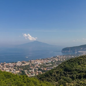 A coastal cityscape with a prominent mountain in the background, dense urban development in the foreground, and a clear sky.