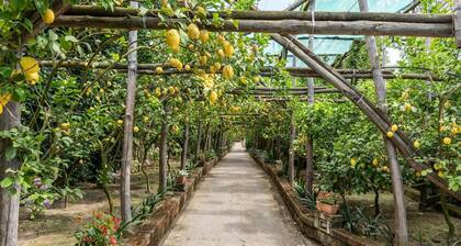 Romantic Garden in Sorrento