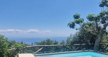 The Retreat of the Senses