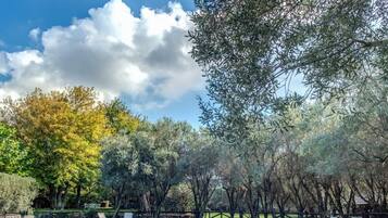 Villa | 6 bedrooms, iron/ironing board, Internet