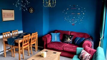 TV connectée, cheminée, lecteur de DVD, livres