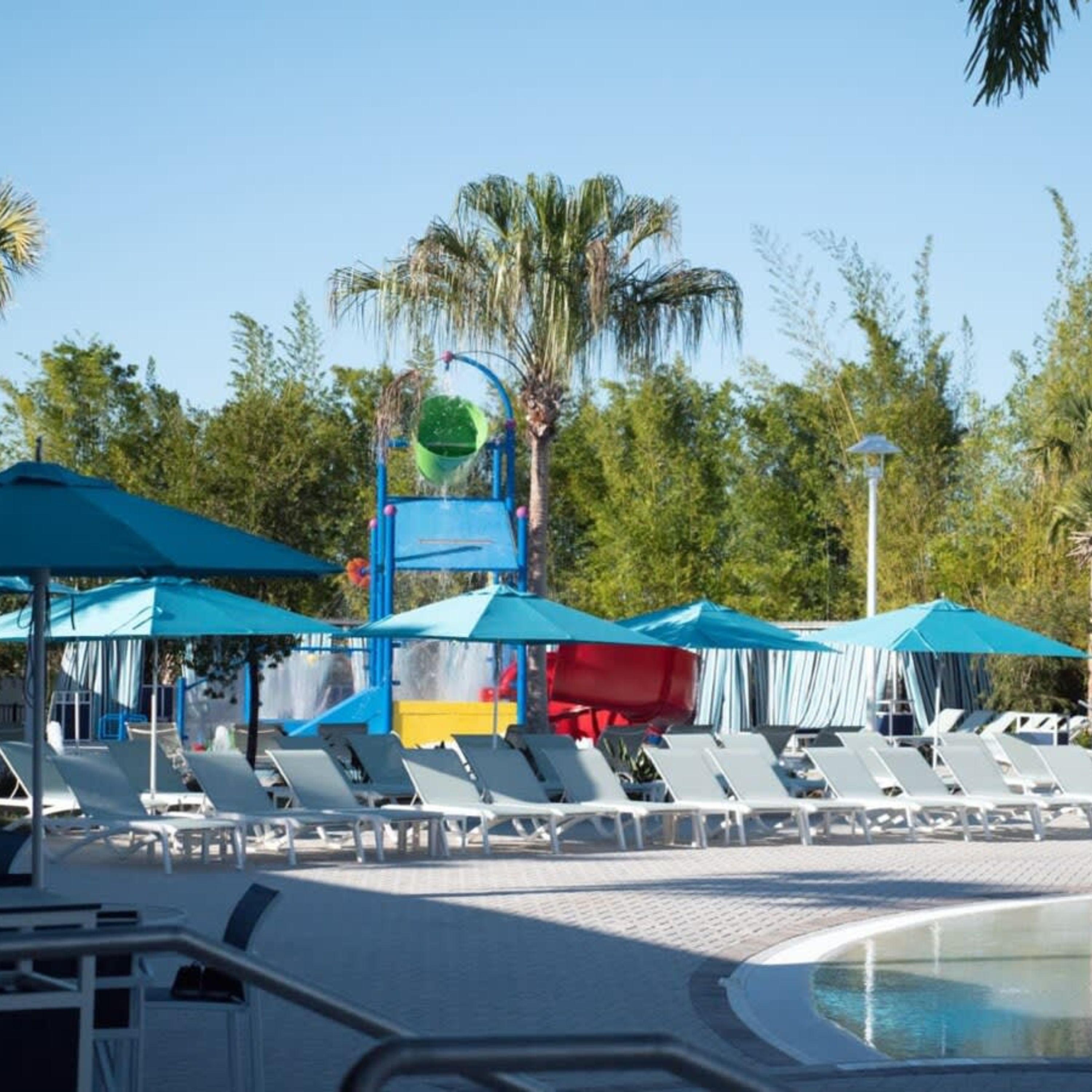 A pool area with lounge chairs and umbrellas, surrounded by palm trees.