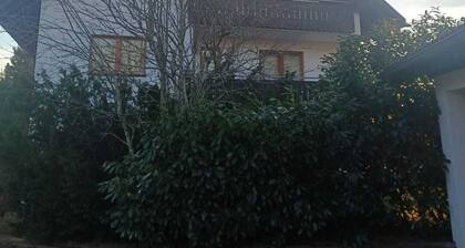 gemütliche 2- Zimmerwohnung im Herzen des Hochschwarzwaldes. Haustierfreundlich