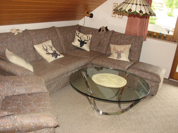 Fernseher, DVD-Player, Tischtennisplatte, Bücher