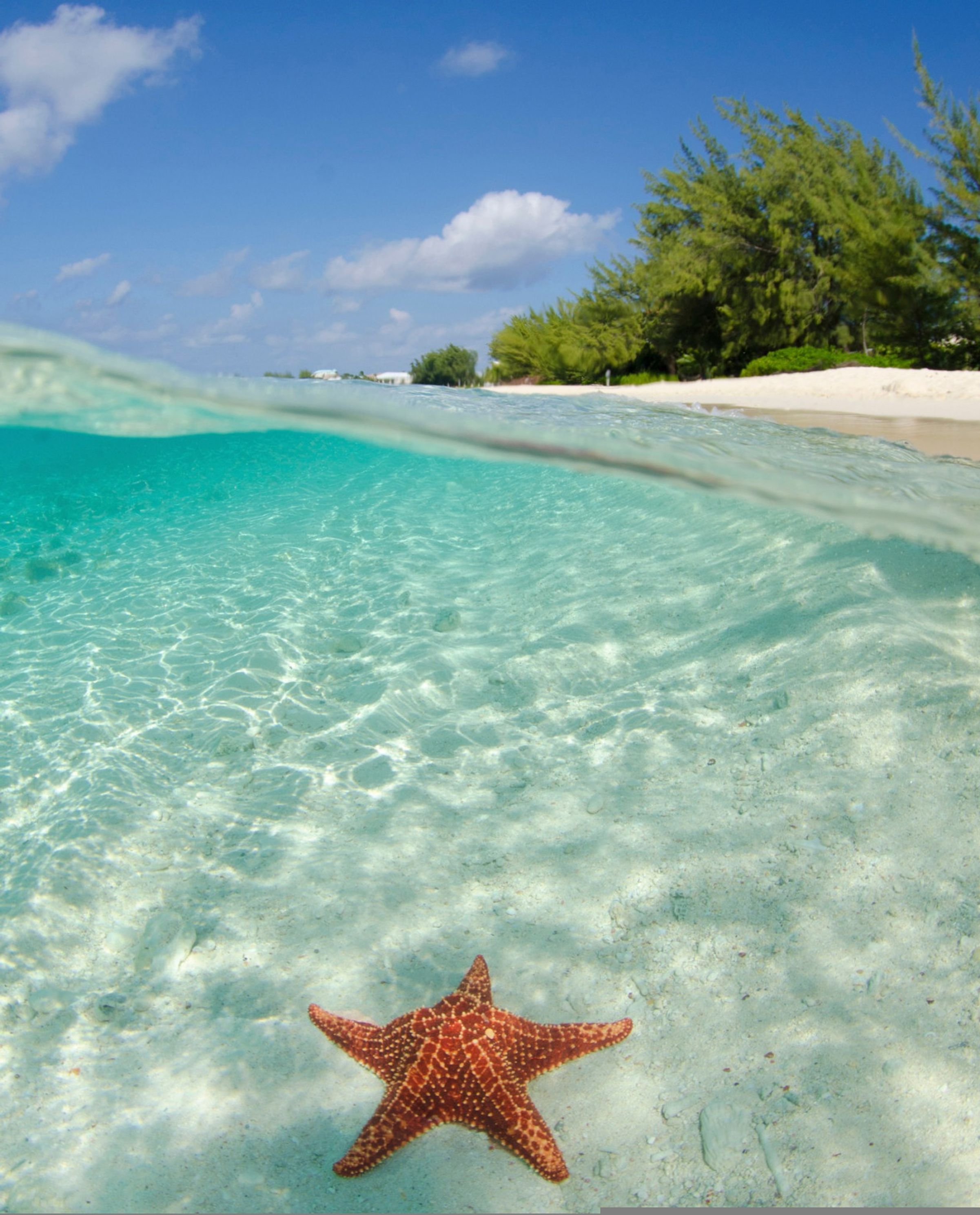 Apartemen | 2 kamar tidur dan meja kerja