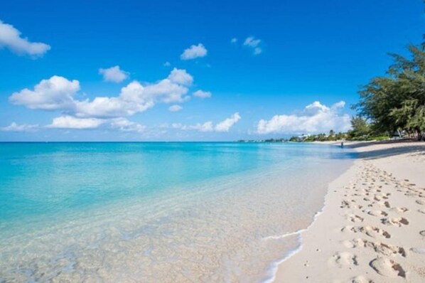 Apartment | 1 bedroom - S2A Blue Pavilion - Beach Transfers Meals Tours Island Retro Chic (West Bay)