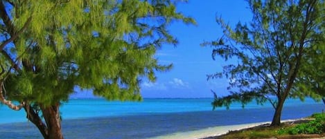 Apartamento, acessível | 3 quartos, escrivaninha