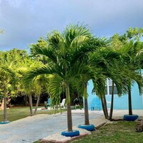 公寓 | 1 多间卧室