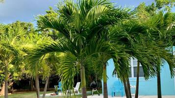 Departamento | 1 habitación y escritorio