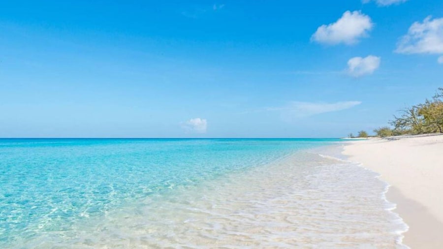 S1 BP Steps to Beach