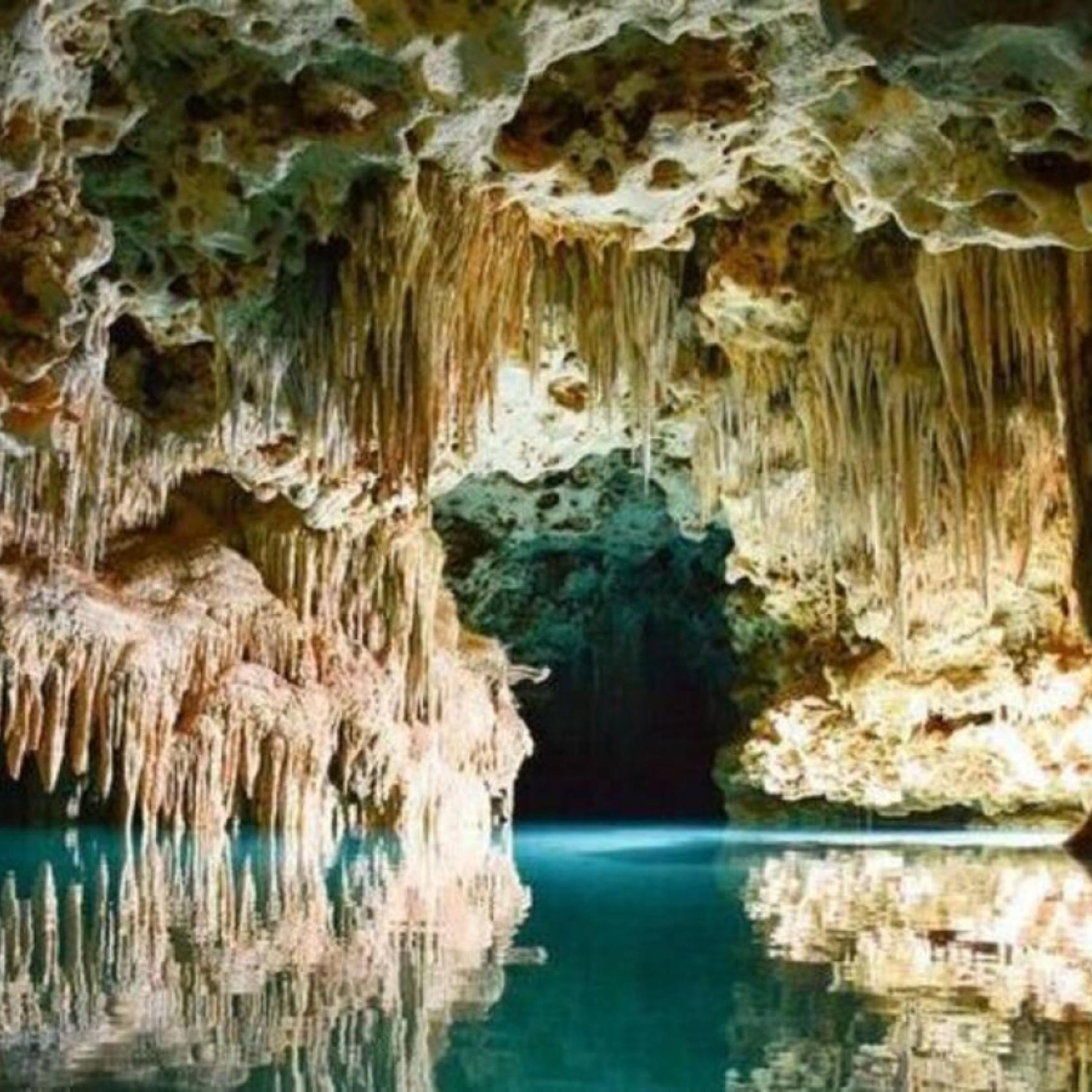 Leilighet | 1 soverom og skrivebord