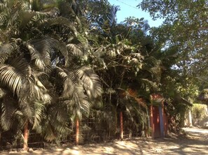 Casa | Áreas de la propiedad