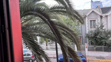 Vistas desde el alojamiento