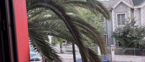 Vista desde la propiedad