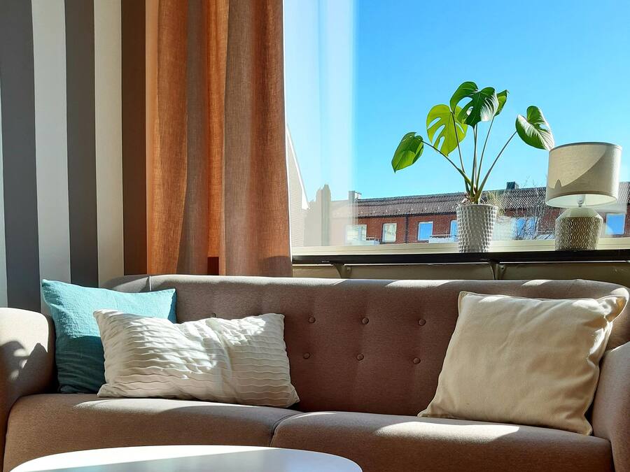 A modern living room with a sofa, a round coffee table, and a potted plant.
