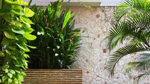 Un espace jardin agrémenté d’un mur en briques, d’un mur en pierre et de diverses plantes vertes.
