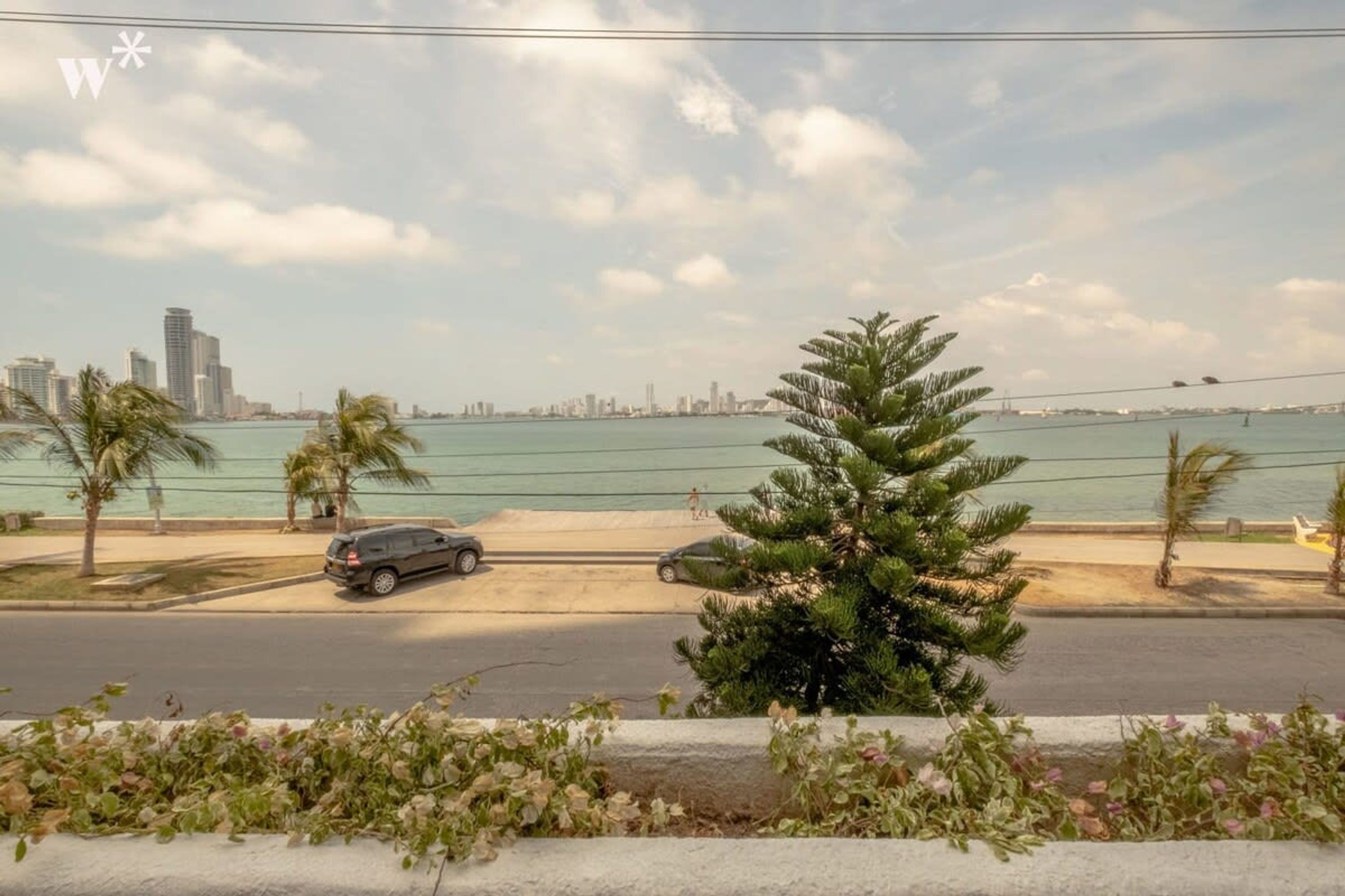 A coastal road with a view of a city skyline and palm trees.