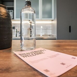 公寓 | 1 多间卧室、高速上网