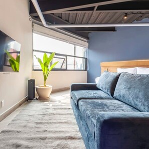 1 غرفة نوم وخدمة الإنترنت